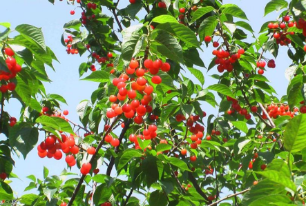 311685510904130253.png image.png