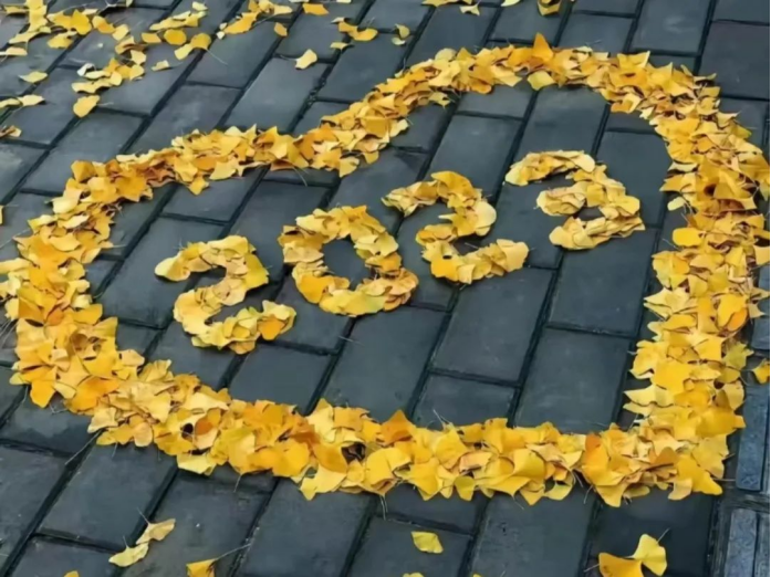 271701043499131620.png image.png