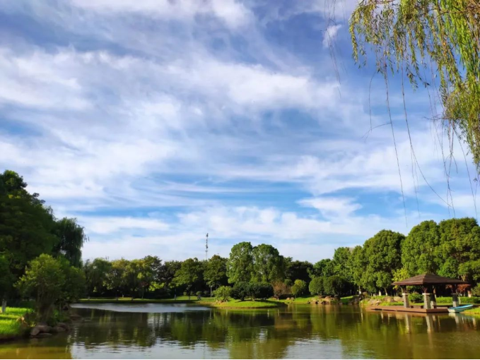 271701043601131714.png image.png